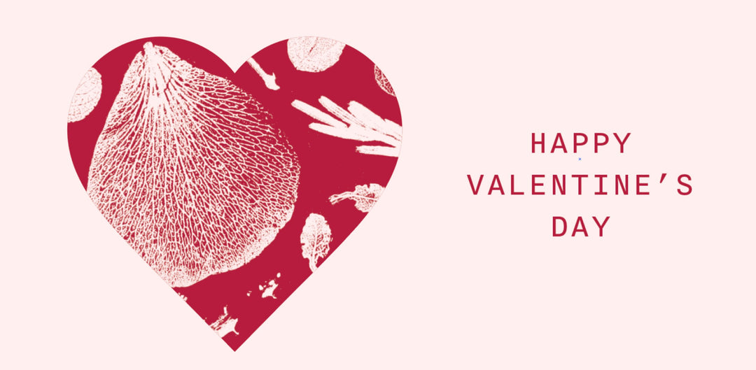 Celebrate Love with Our Organic Cosmetics & Perfumes on Valentine's Day!