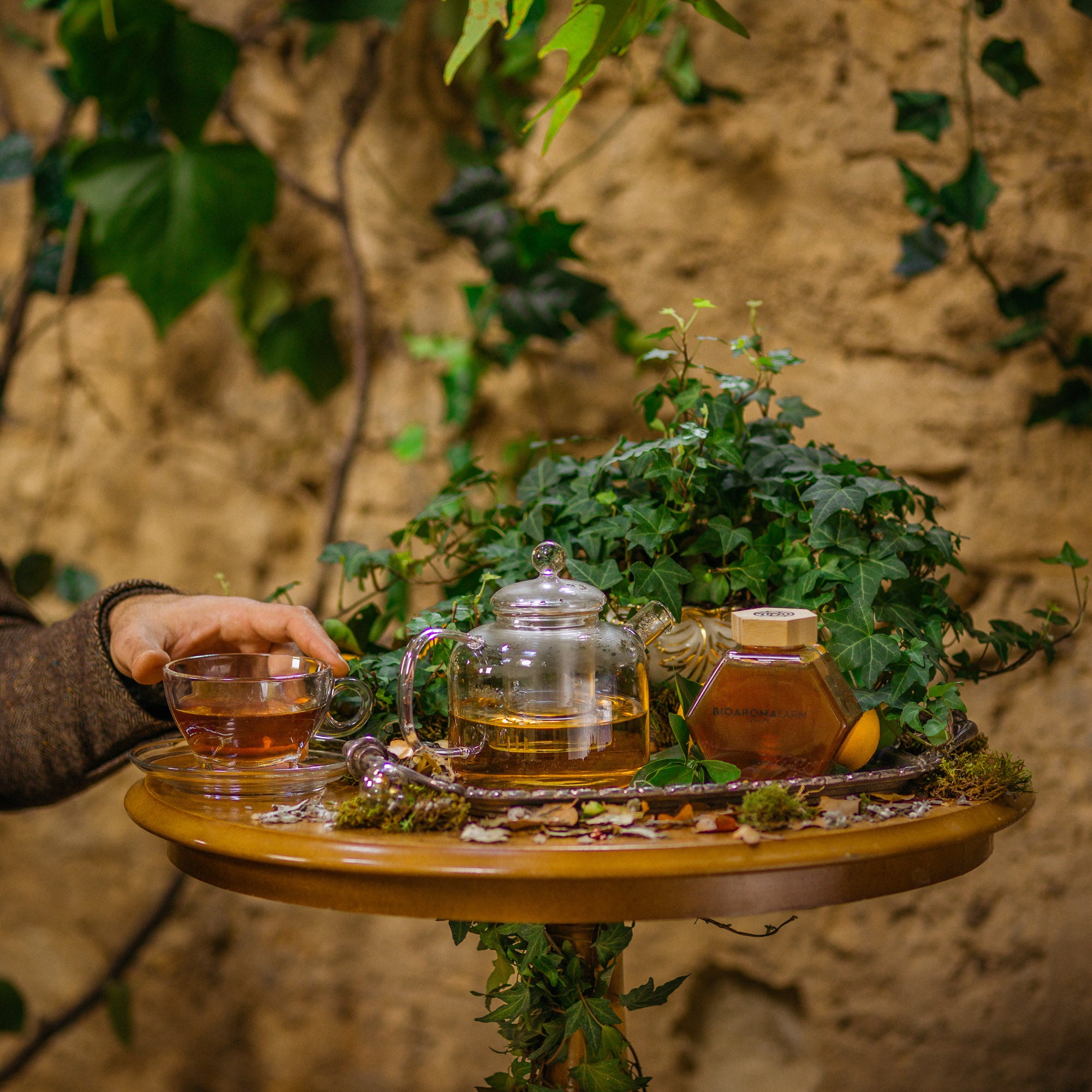 Organic Herbal Teas from Crete