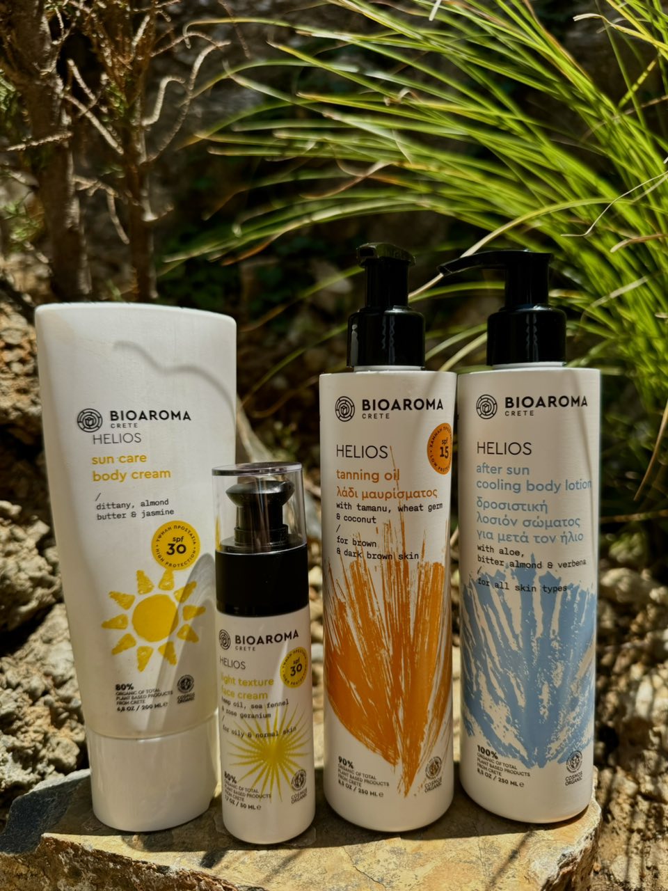 バイオアロマ　パクチー１本 バイオアロマ パクチー1本 バイオアロマ パクチー1本 バイオ