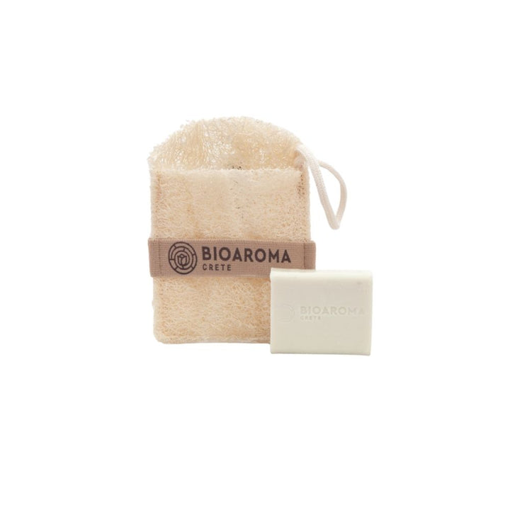 Soap Case with Loofah Sponge