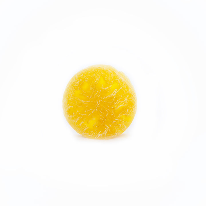 SAPON Lemon Organic Glycerin Body Soap with Loofah Sponge